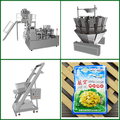 榨菜丝给袋式真空包装机