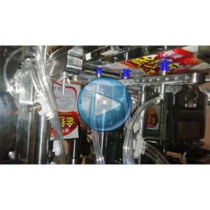 金针菇给袋式真空包装机，25包/分钟，温州裕东