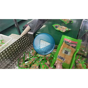 手磨豆干，双条豆干给袋式真空包装机，高速85包/分钟