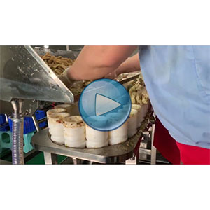 双条豆干，豆干给袋式真空包装机，高速 90包/分钟