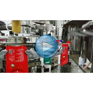 魔芋给袋式真空包装机，高速100包/分钟，温州裕东