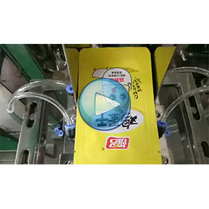 祖名鸡蛋干，鸡蛋干给袋式真空包装机，人工投料