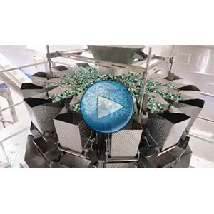 牛肉粒给袋式包装机，25包/分钟，温州裕东