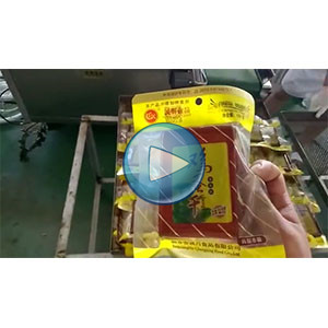 鸡蛋干给袋式真空包装机-包装生产线视频