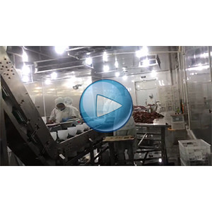 给袋真空包装解决方案-碗式提升机-裕东画册