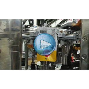 拉丝蛋白给袋式真空包装机-75包/分钟-优粮-包装生产线视频