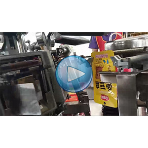 鱼豆腐给袋式真空包装机-包装生产线视频