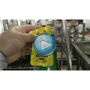 长鸭脖给袋式真空包装机-80包/分钟-包装生产线视频