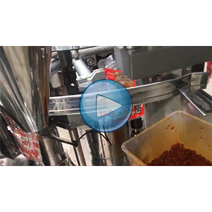 牛蹄筋给袋式真空包装机-72包/分钟-自动包装机视频