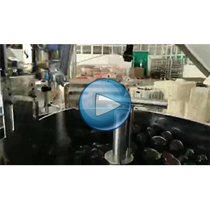 一枚卤蛋给袋式真空包装机-100包/分钟-乡得旺-包装生产线视频