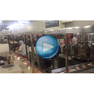 一块豆干给袋式真空包装机-爽口佳-包装生产线视频