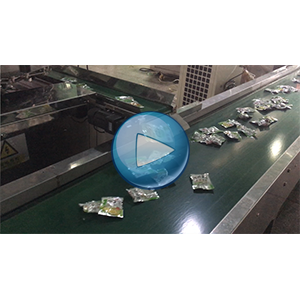 榨菜丝给袋式真空包装机-80包/分钟-包装生产线视频