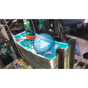 鸭掌给袋式真空包装机-75包/分钟-包装生产线视频