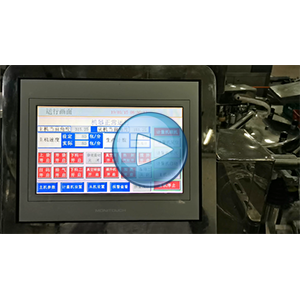 豆芽给袋式真空包装机-80包/分钟-包装生产线视频