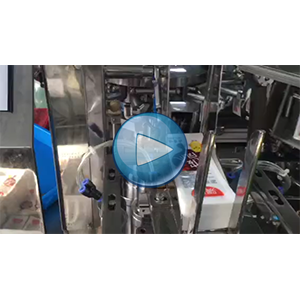 虎皮凤爪给袋式真空包装机-包装生产线视频