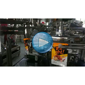 虎皮鸡蛋给袋式真空包装机-包装生产线视频