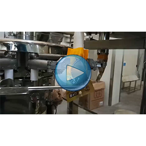 卤蛋给袋式真空包装机-包装生产线视频