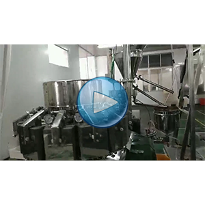 海带菜包给袋式真空包装机-80包/分钟