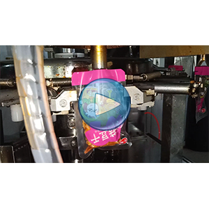 香菇豆干给袋式真空包装机-包装视频