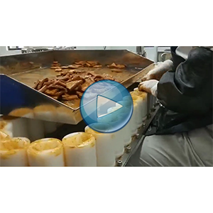 鱼豆腐给袋式真空包装机-包装视频