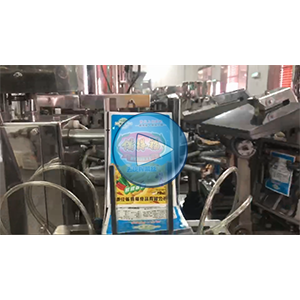 去皮榨菜给袋式真空包装机-包装机视频