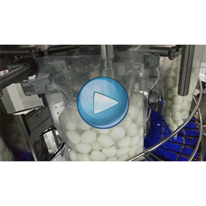 鹌鹑蛋、清水蛋注水2700克给袋式真空包装机-视频