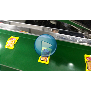 Q豆腐给袋式真空包装机-人工投料-包装生产线视频