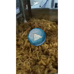 榨菜丝给袋式真空包装机，70包/分钟，温州裕东