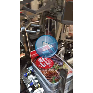 手撕牛排真空包装机，人工投料，温州裕东