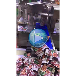 350克辣白菜给袋式包装机  30包/分钟