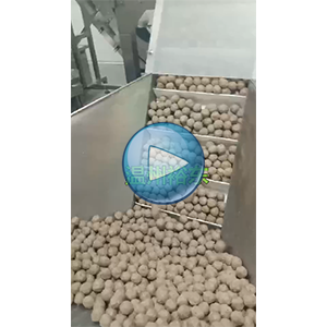 牛肉丸全自动给袋真空包装一体机