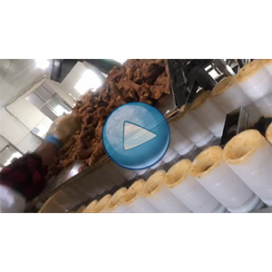 小腿自动包装机，人工投料，富伊生产线视频