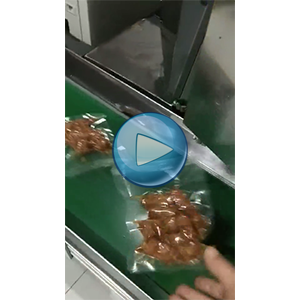 鸭脖，给袋式真空包装机，温州裕东