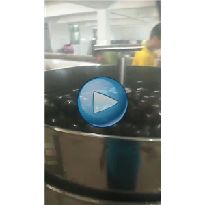 卤蛋给袋式真空包装机，80包/分钟视频