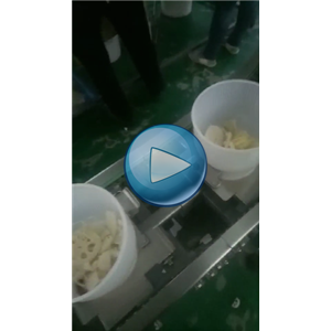 蔬菜包，全自动包装设备，碗式提升机