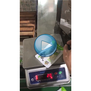 泡椒春笋真空包装机的车间生产线视频