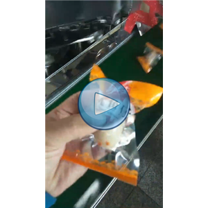 鱿鱼仔高速包装机，80包每分钟，真空生产线视频
