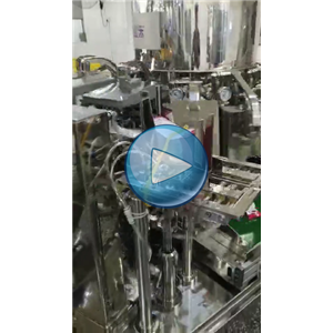 豆干85包每分钟，给袋式豆干包装机，裕东视频