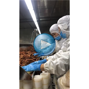 虎皮凤爪给袋式真空包装机视频