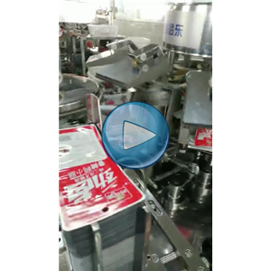 鸭小腿给袋式真空包装机，人工投料，包装生产线视频