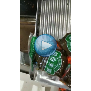 芽菜给袋式真空包装机，大规格包装机，全自动抽真空封口