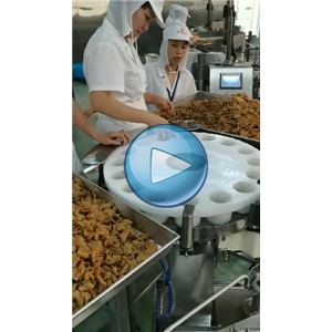 老李豆腐干、豆皮给袋式包装机，人工投料