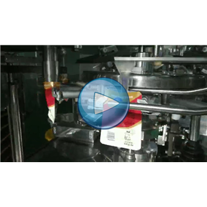 鸡蛋 给袋式包装机 每分钟60包 130B，温州裕东