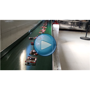 灯影牛肉丝包装机，给袋真空包装一体机