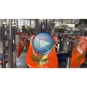 鸭掌袋中袋自动包装试机视频