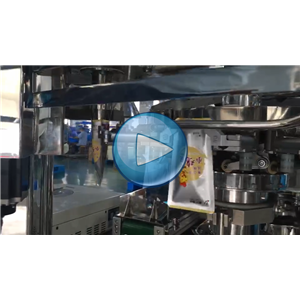 小鸡腿包装机，全自动双转盘给袋式真空包装机