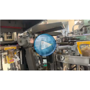 豆腐干，给袋式真空包装机，80包每分钟，温州裕东