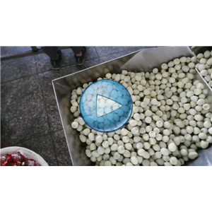 四枚无壳鹌鹑蛋，给袋式包装机，60包/分钟，温州裕东