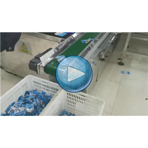 鱿鱼仔给袋式真空包装机，人工投料，温州裕东