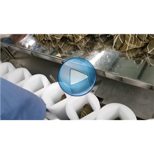 粽子真空包装机，人工投料，温州裕东